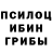 Галлюциногенные грибы Psilocybe Coffee M