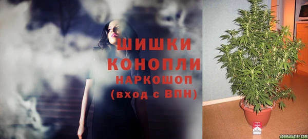 Альфа ПВП Дмитров