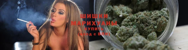 Альфа ПВП Дмитровск