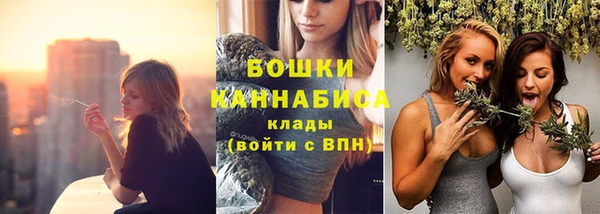 Альфа ПВП Дмитров